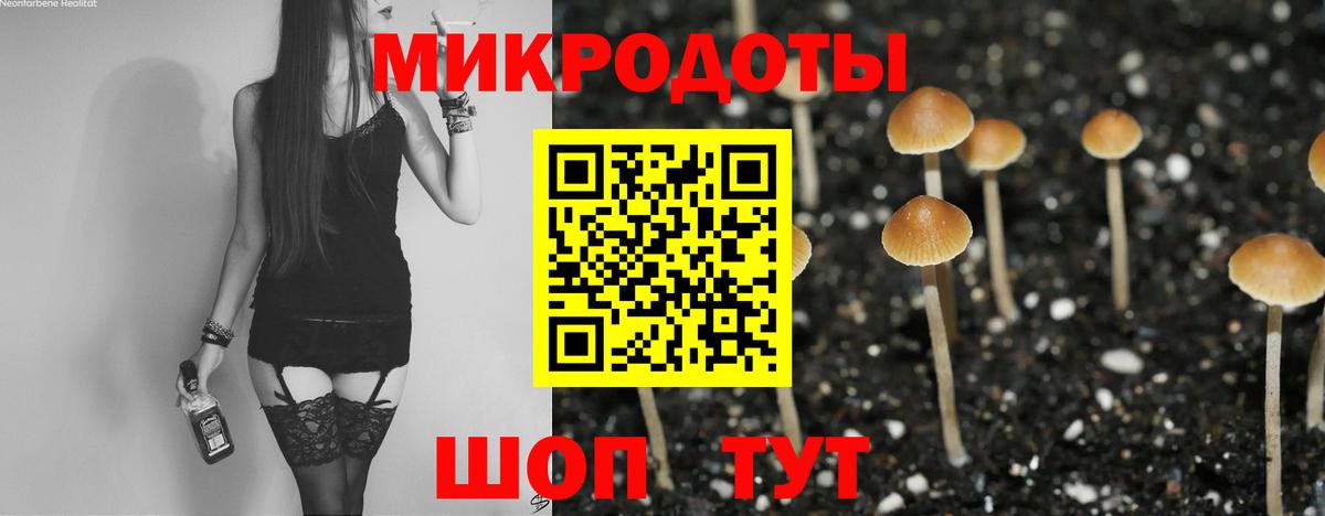 Галлюциногенные грибы Psilocybine cubensis Коммунар
